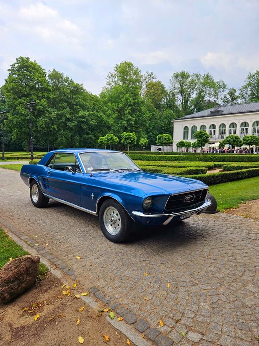 Auto do ślubu - Mustang 66'. teledyski, reklamy, wesele