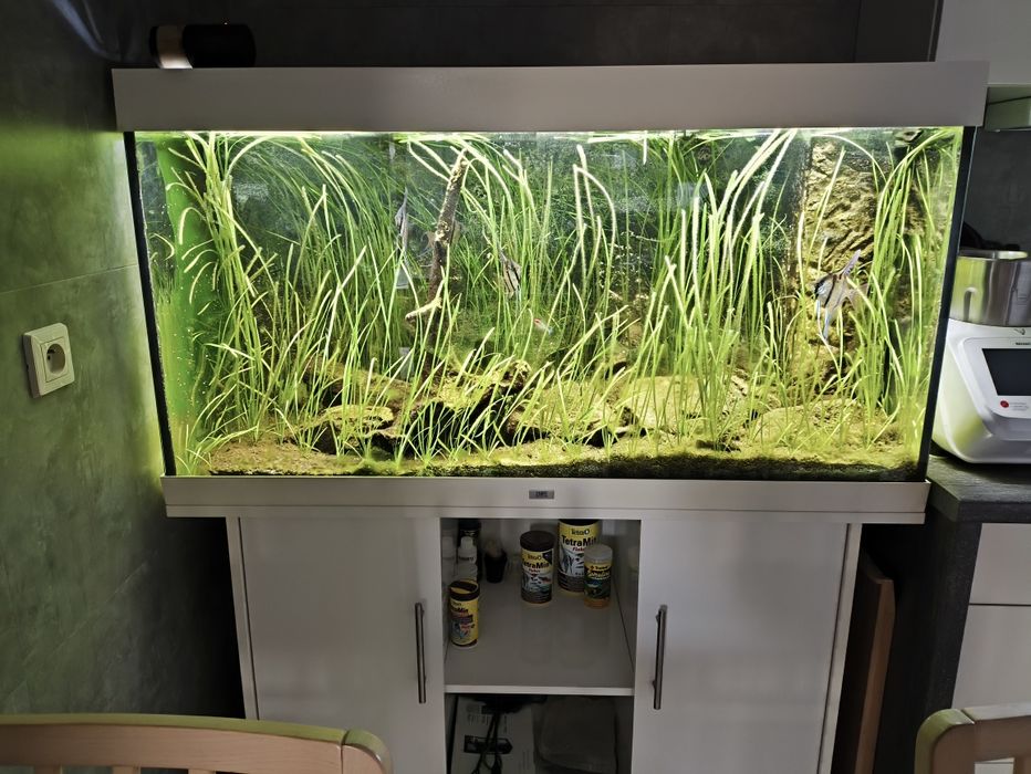 Akwarium Juwel Rio 350 białe