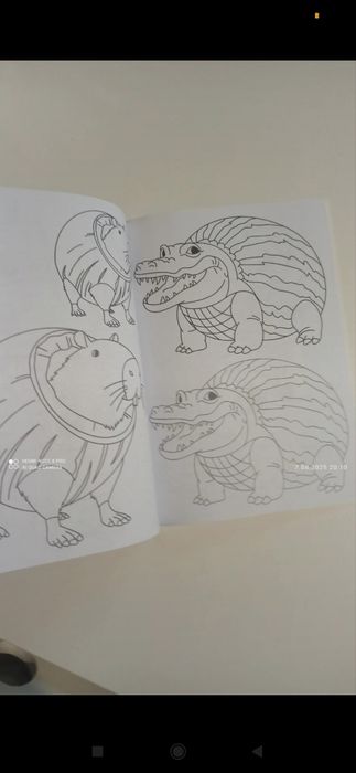 nowa kolorowanka Brainrot