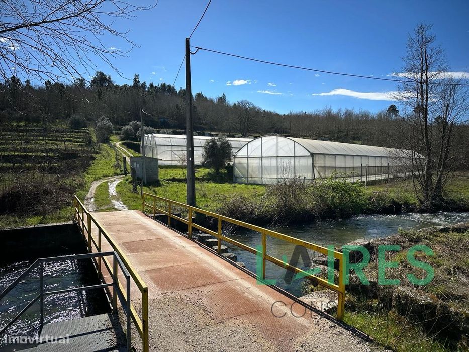 Quinta Agrícola com 3ha