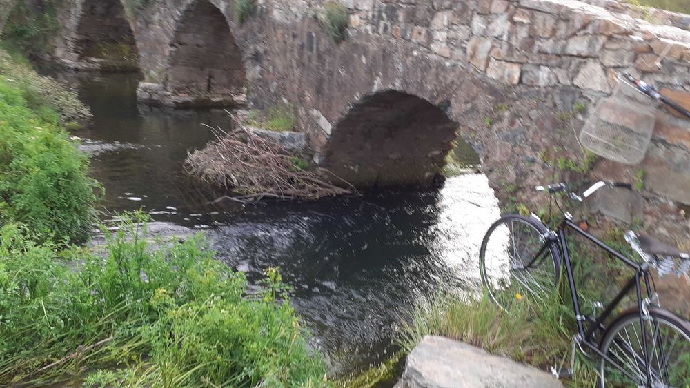 Pasteleiras d`Aldeia