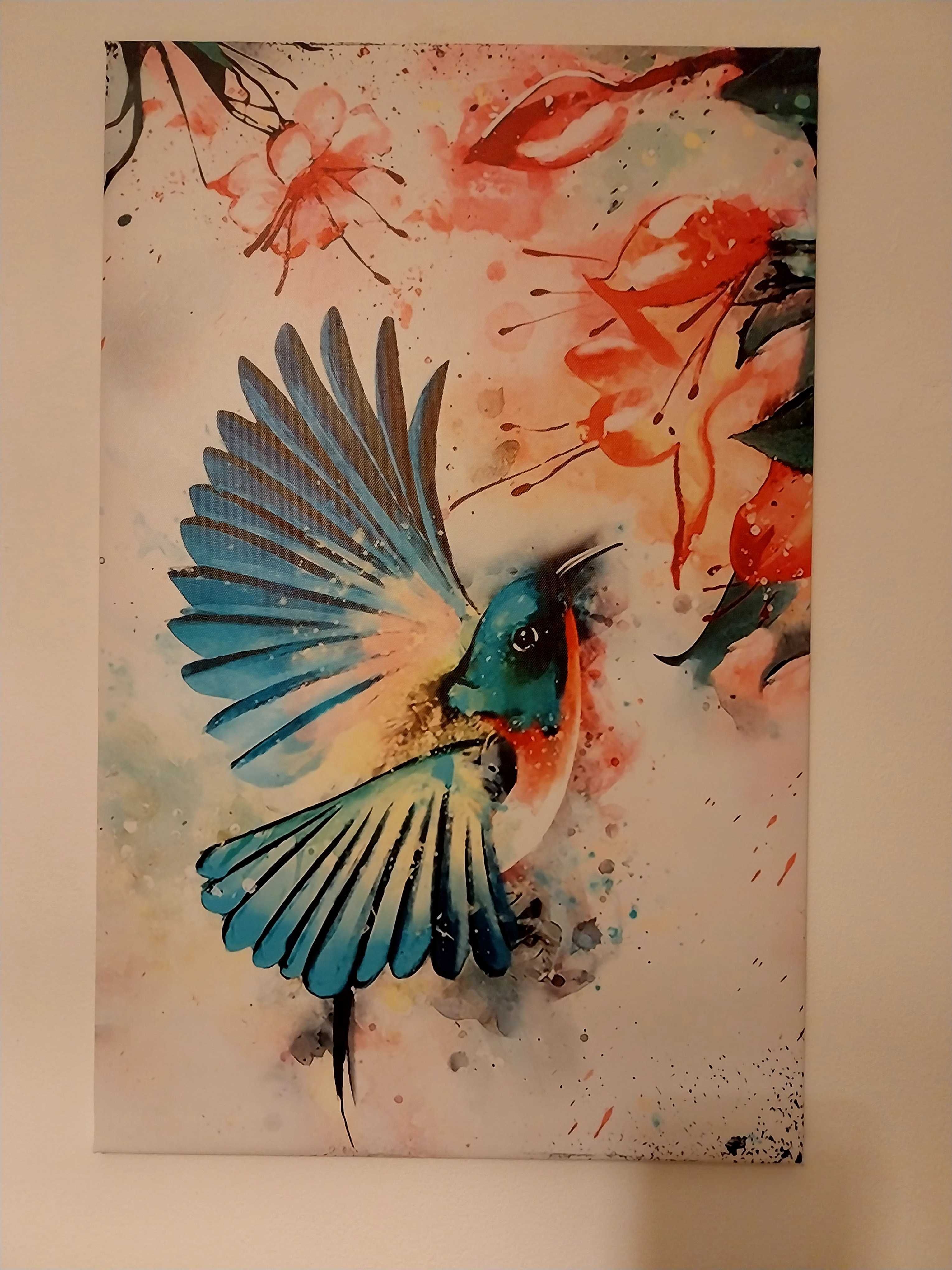 Quadros/telas com pássaros/colibris