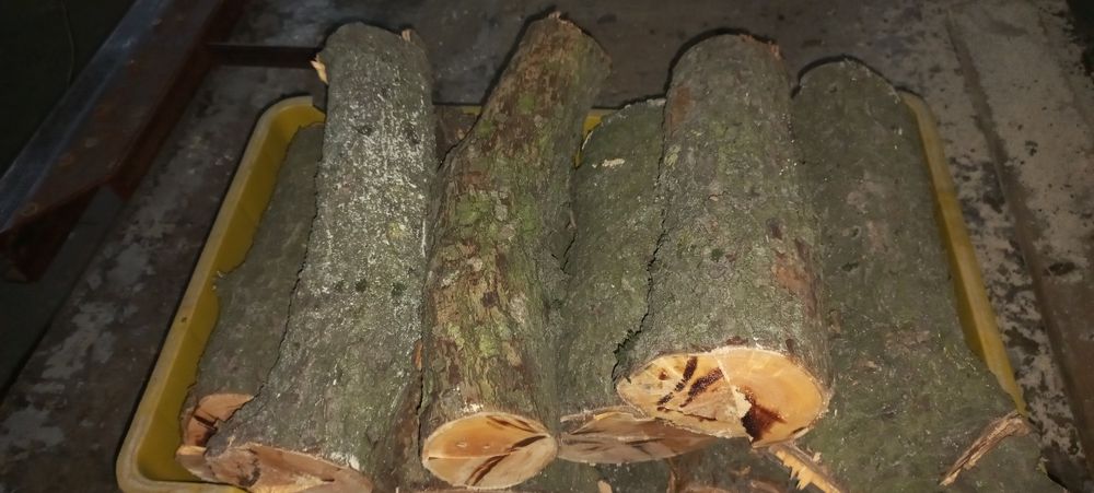 Дрова   з  фруктового дерева , груша