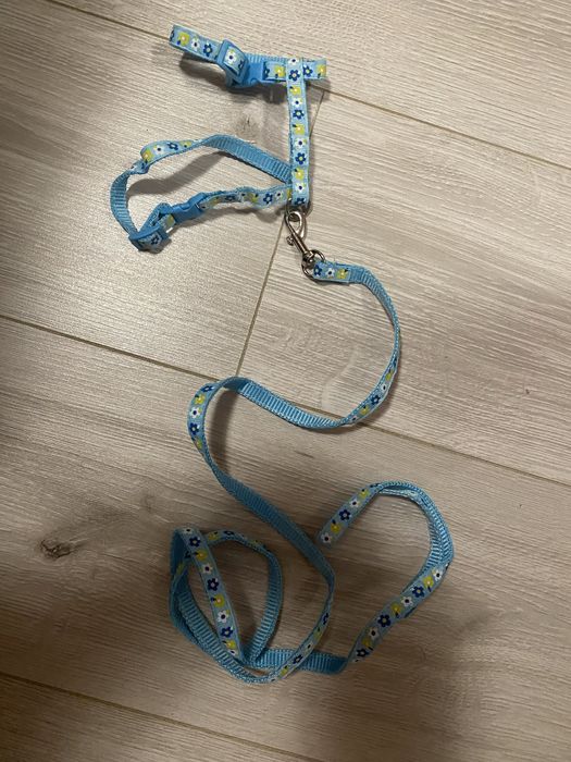 Шлея и поводок для маленькой собачки