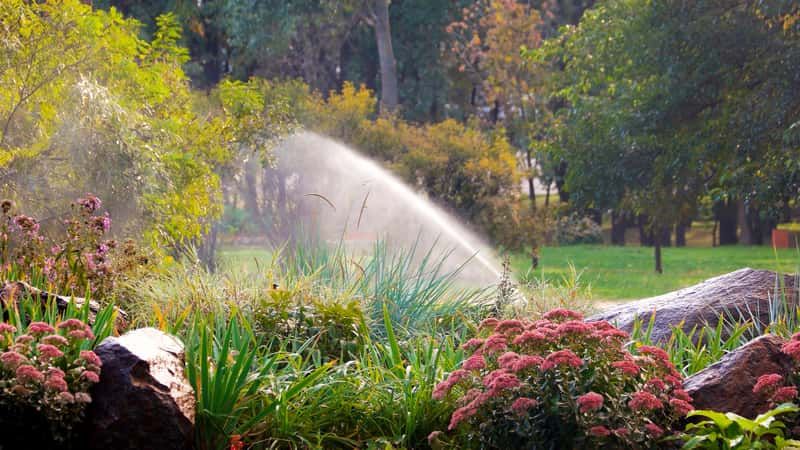 Automatyczne Nawadnianie RAINBIRD HUNTER Ogrody Rośliny Trawa z rolki