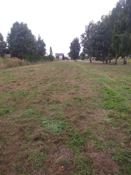 Kompleksowe czyszczenie terenu działek przygotowanie pod budowę