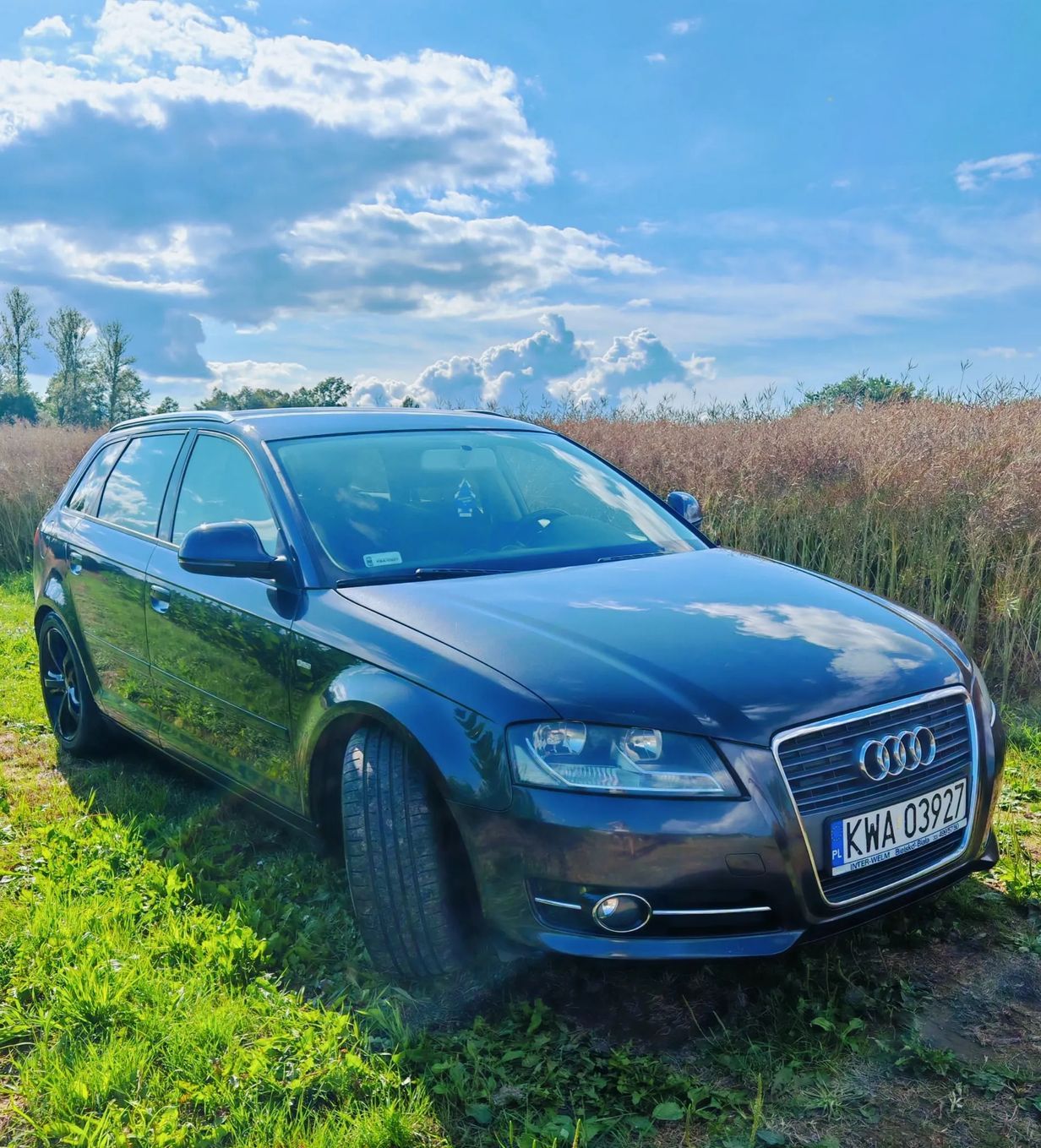 Audi A3 Audi A3 8P 1.8 TFSI