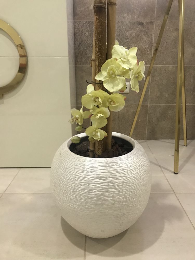 Vaso com orquidea novo