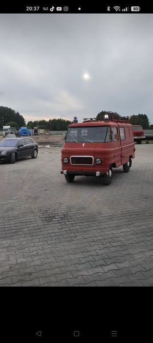 Żuk  Smutek 1972