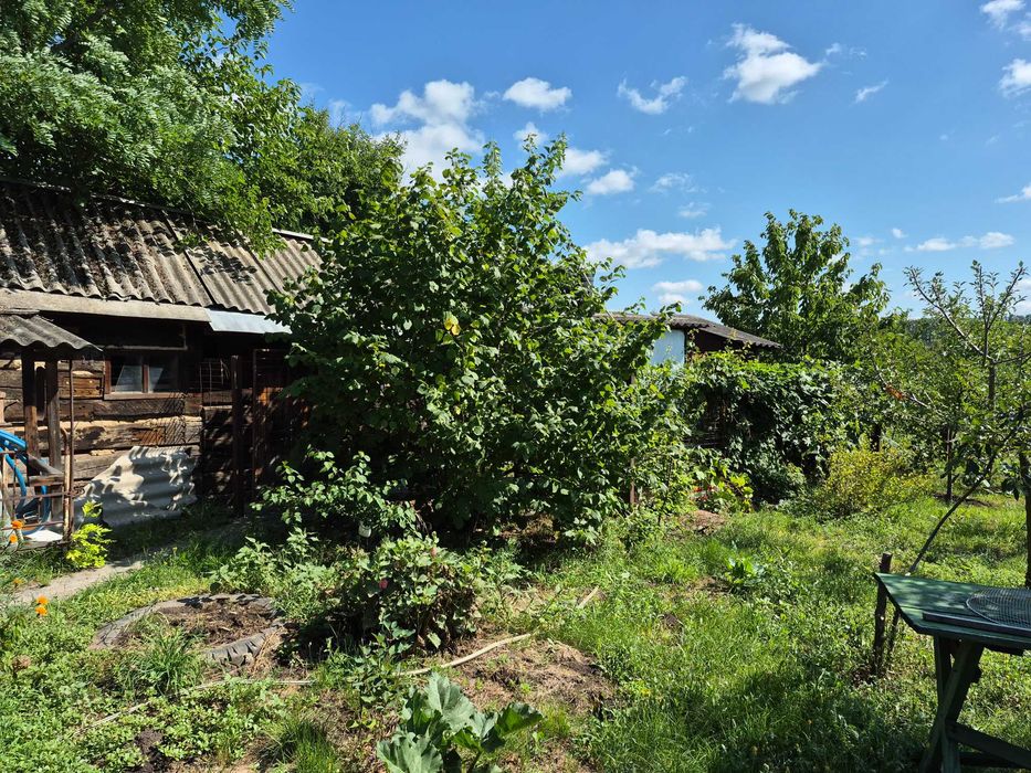 Продам будинок в селі Носачів