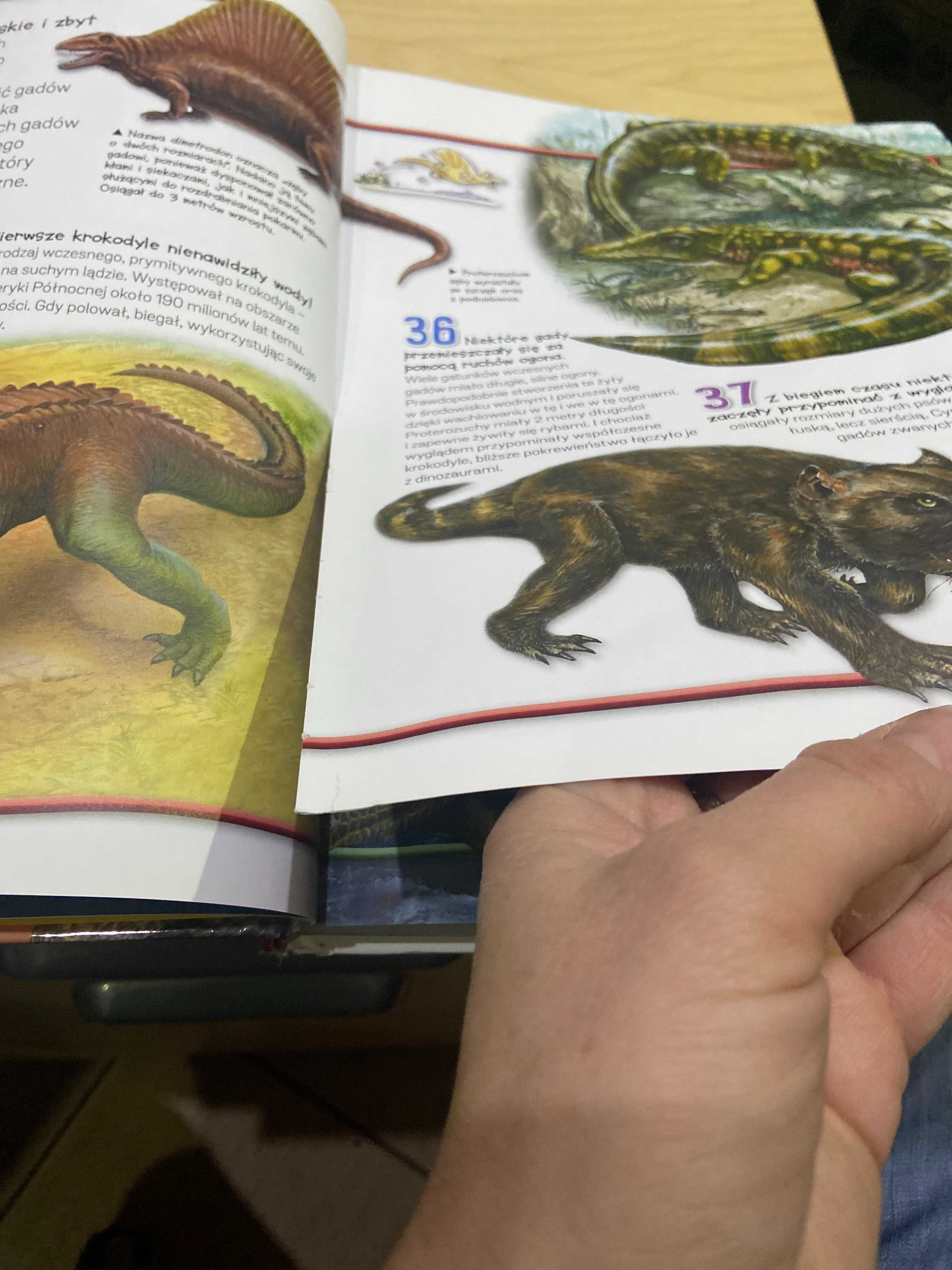 Encyklopedia dla dzieci Dinozaury i życie prehistoryczne