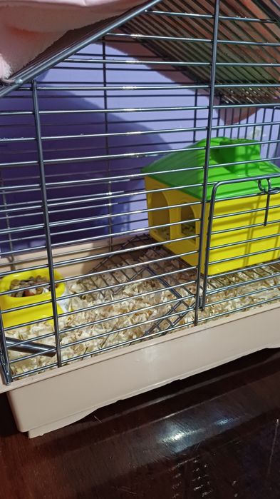 Клітка для хом'яка, джунгарика