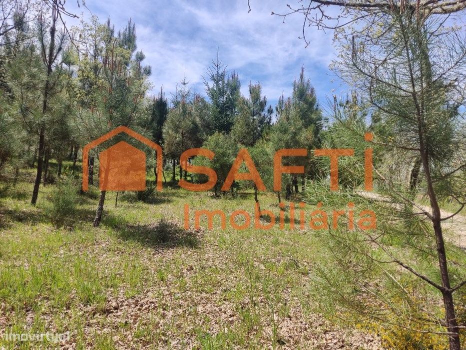Terreno com viabilidade construção - Casal de Cinza - Guarda