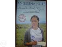 Angelina Jolie - Diário das minhas Viagens (oferta de portes)