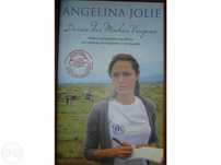 Angelina Jolie - Diário das minhas Viagens (oferta de portes)