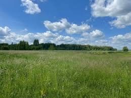 Участок Волохов Яр