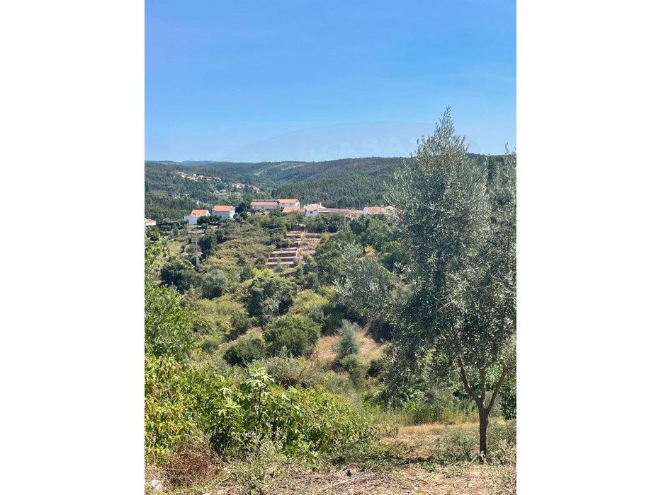 Terreno urbano c/moradia em ruínas, Aldeia do Mato, Abrantes