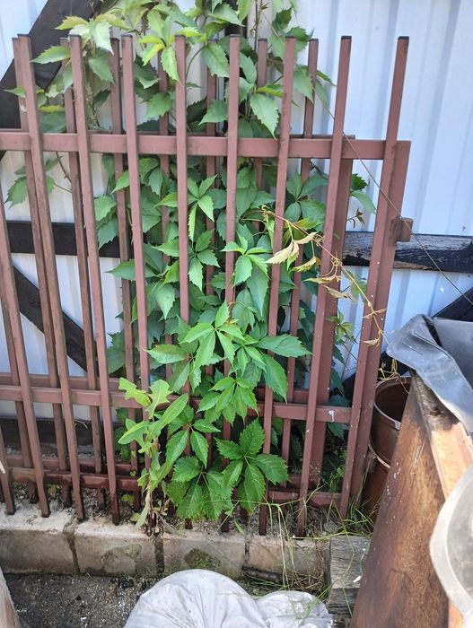 Brama 3,5m z furtką 80cm solidna 1,3 wysokość