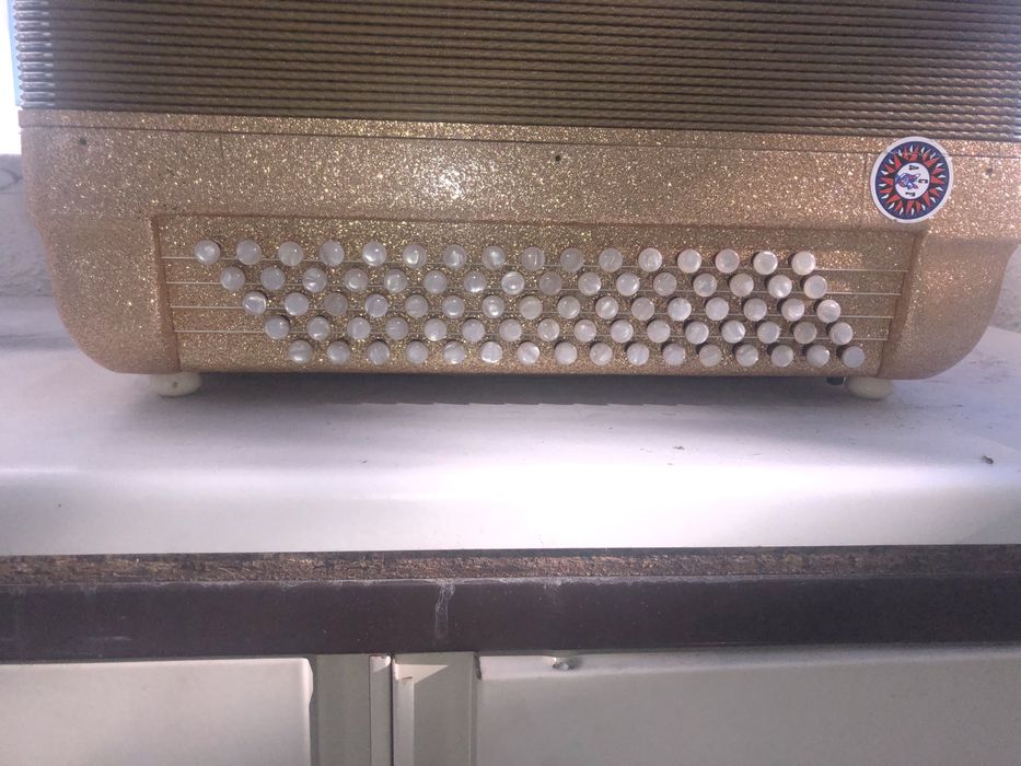 Acordeão Piermaria com registos à 2 voz + mala e correias