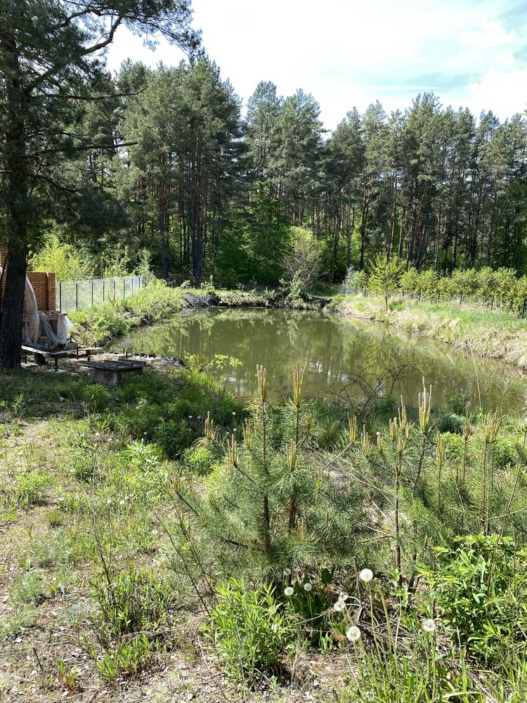 Продам ділянку село Тетерівка(поряд ліс,річка)