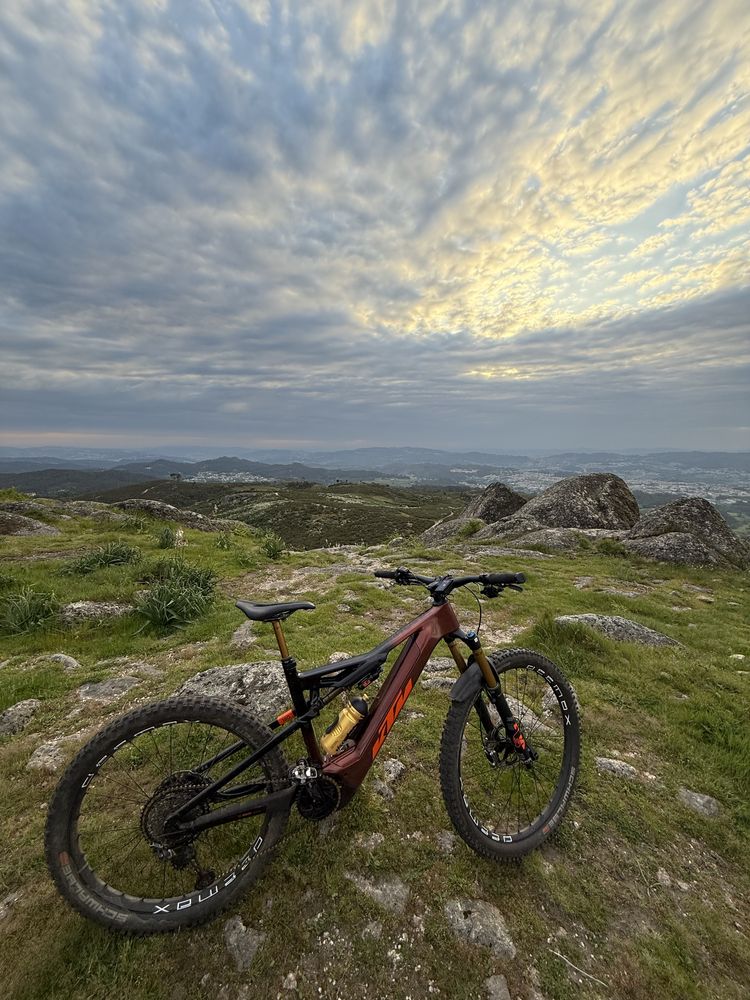 KTM Kapoho Prestige 2024 tam.L