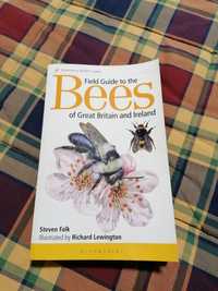 Livro identificação de abelhas silvestres