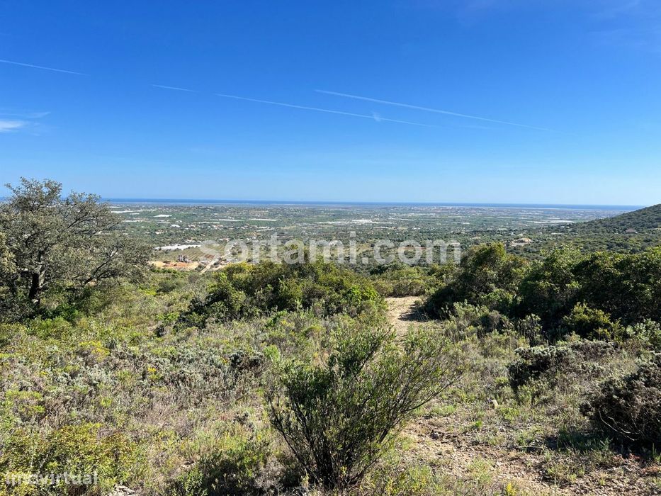 Terreno Rústico  Venda em Conceição e Estoi,Faro