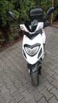 Skuter Generic Paradise 50cm 2T