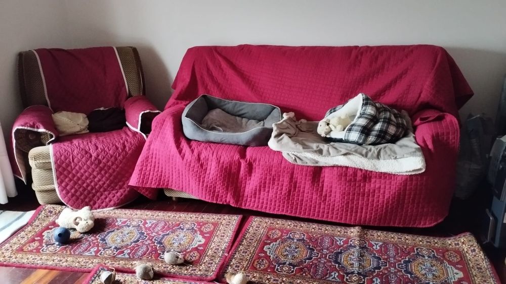 3 sofás para sala