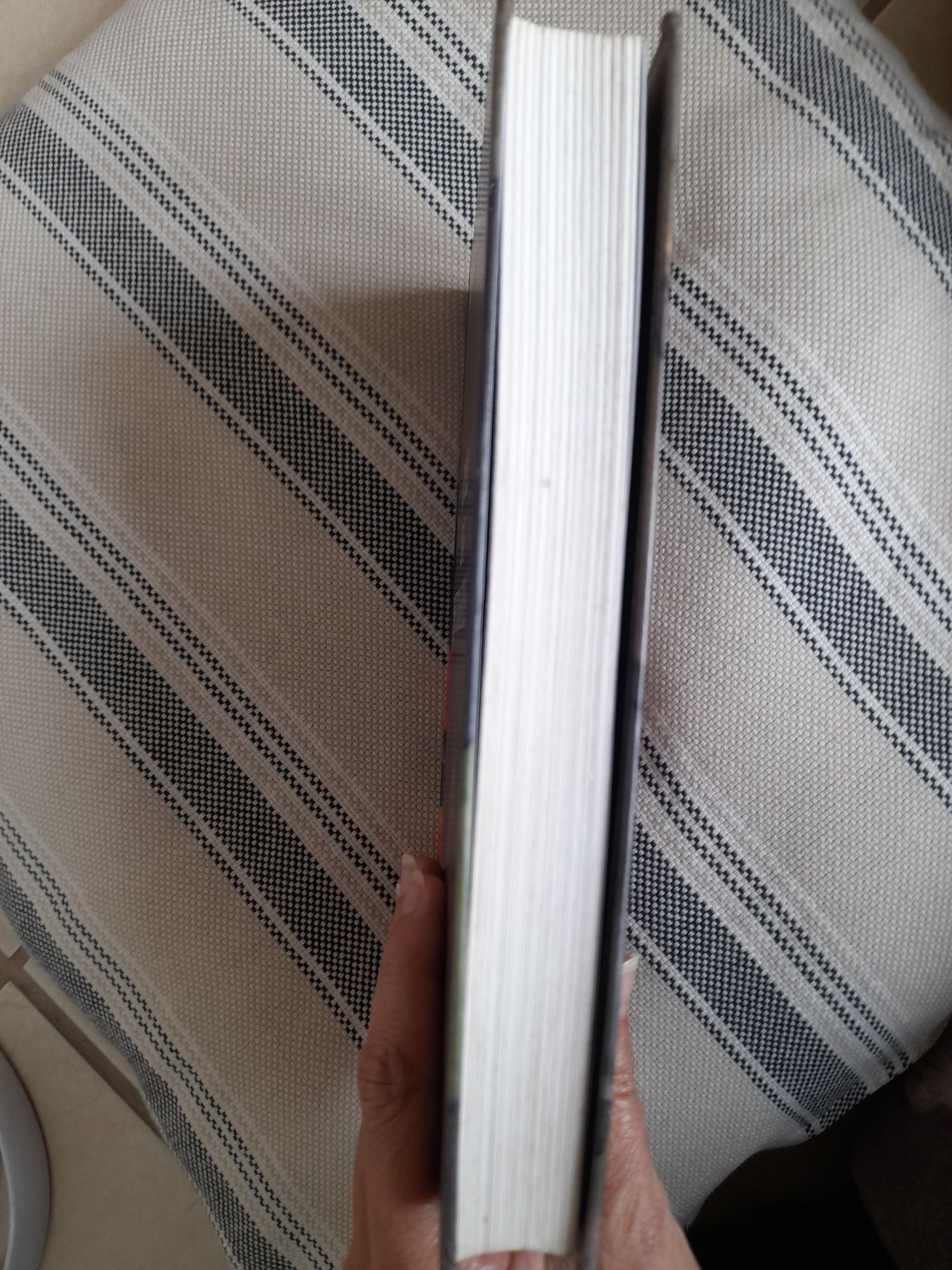 Livro "O deus das pequenas coisas "