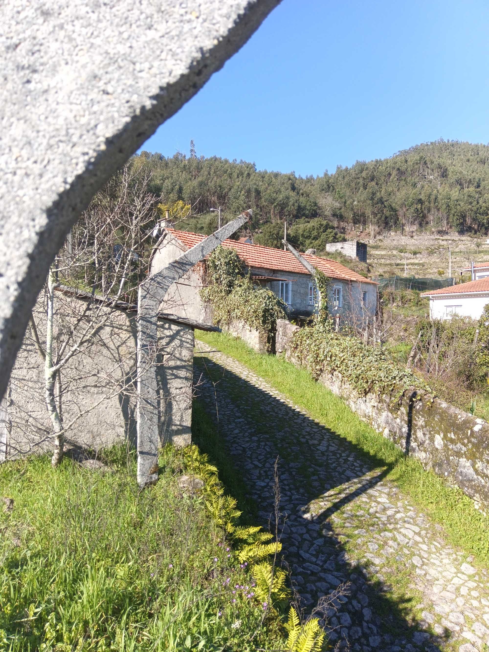 Quinta com casa, terrenos e pinhais
