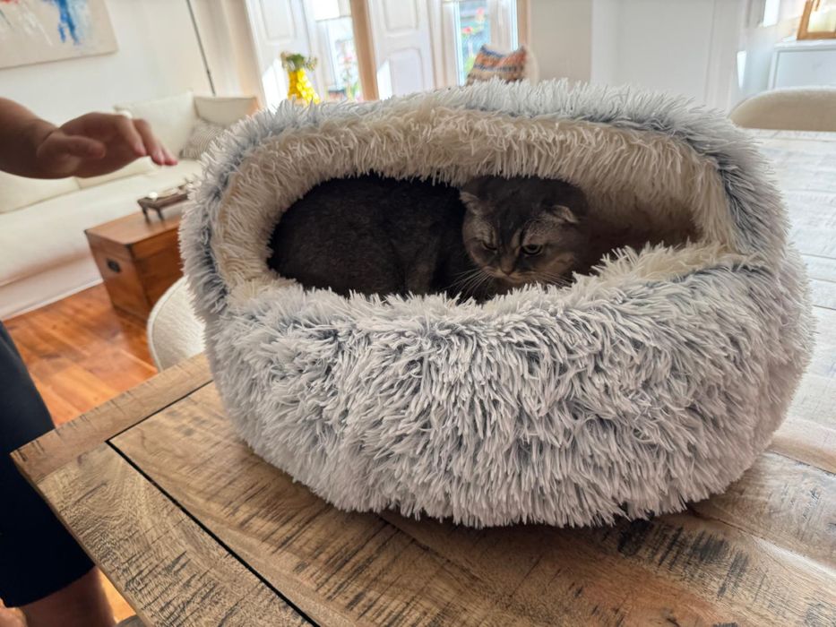 Cama para gatos branca e cinzenta