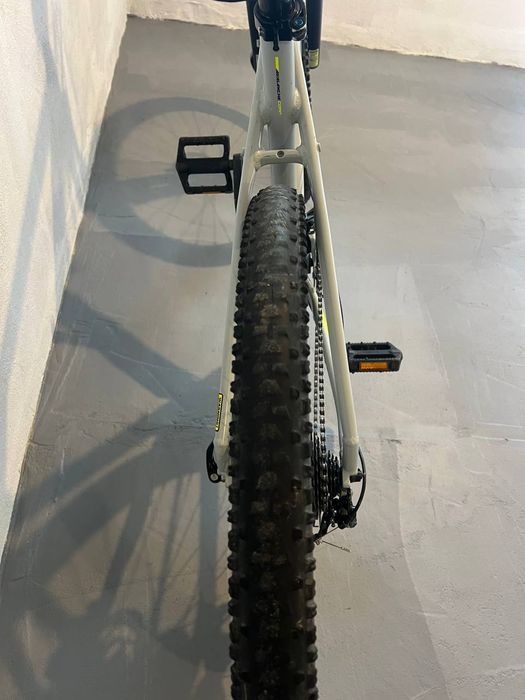 GT avalanche comp 2019