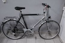 Rower trekkingowy STAIGER OHIO, Koła 28",Rama 64 cm-XXL, DEORE XT.,Alu