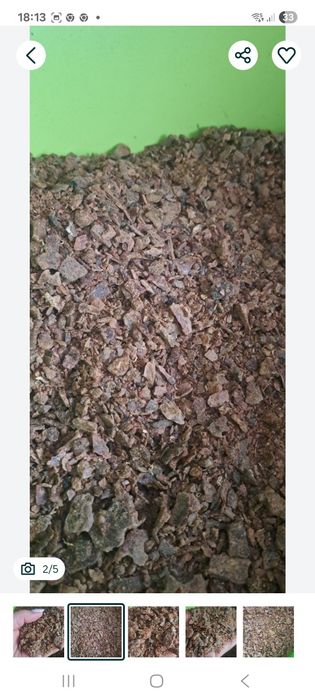 Propoli- kit pszczeli