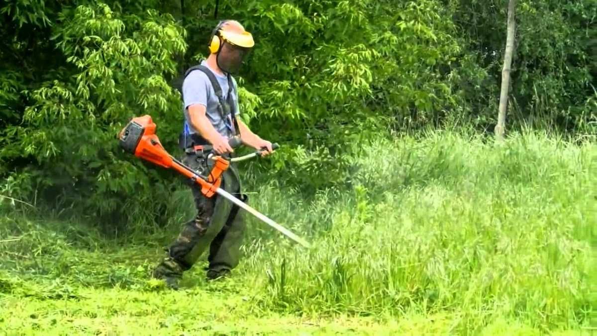 Спилю, обрежу деревья, кронирую. Уборка участка. Покос травы, вспашка