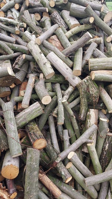 Drewno opałowe gałęziówka
