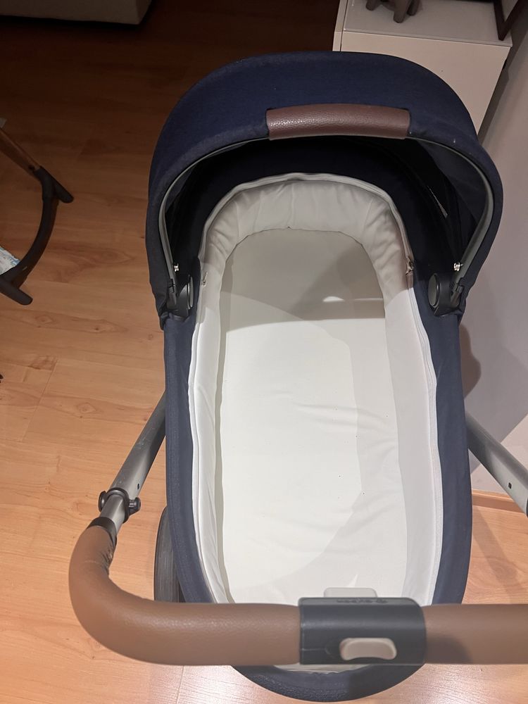 Alcofa Cybex nova