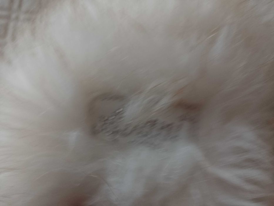 Avanti/ Ekskluzywna, futrzana Czapka Zimowa z długimi pomponami