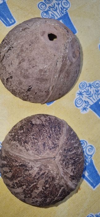 Diversas decorações de aquário