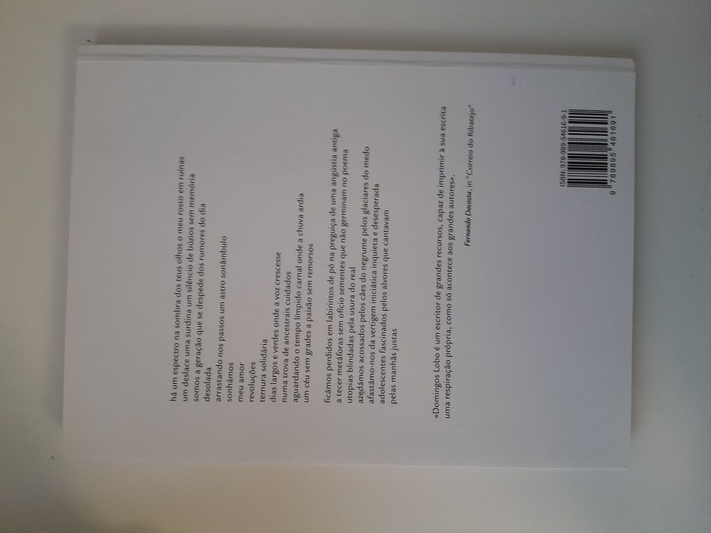 Livro" O rosto em ruínas "