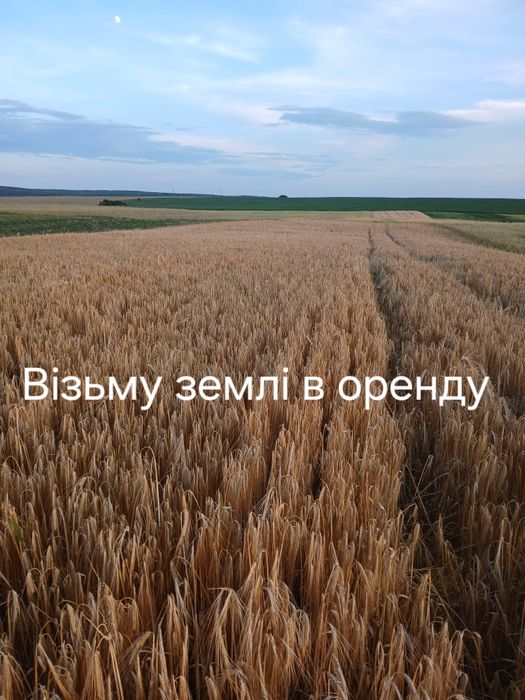 Журавники Квасів Охлопів