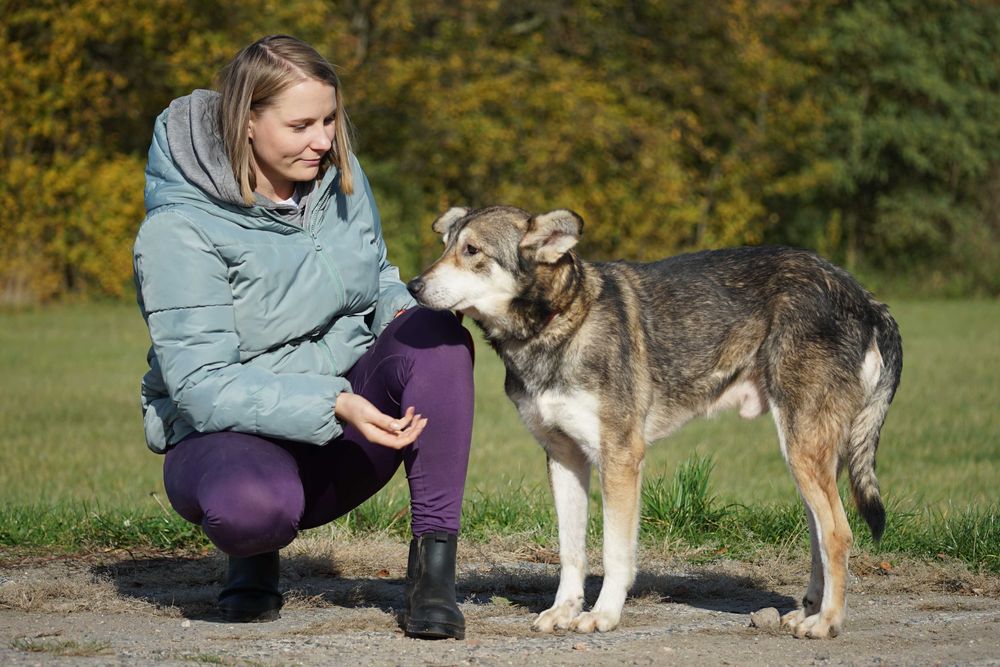Azor - zagłodzony psiak potrzebuje domu - pomagamy w transporcie