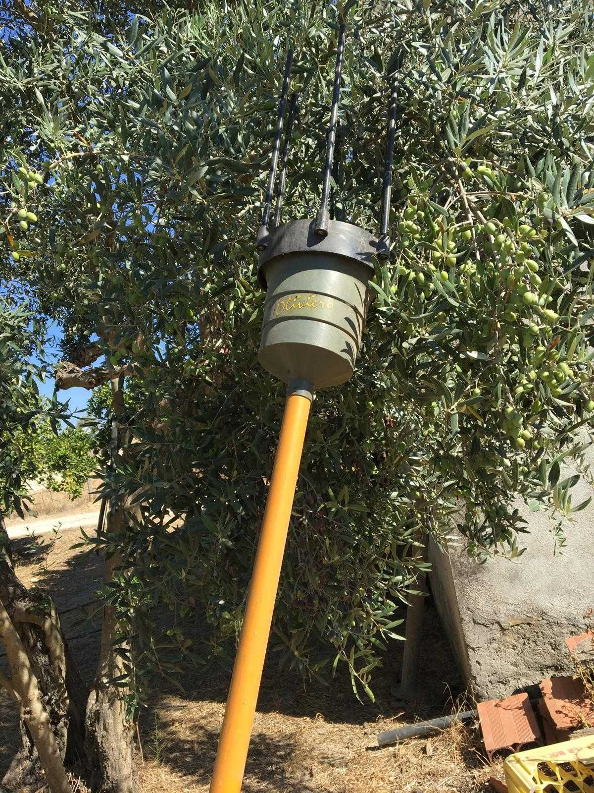Máquina Varejadora Azeitona