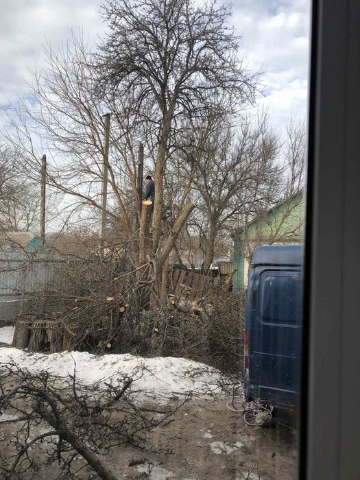 Пиляння дерев будь-якої складності!