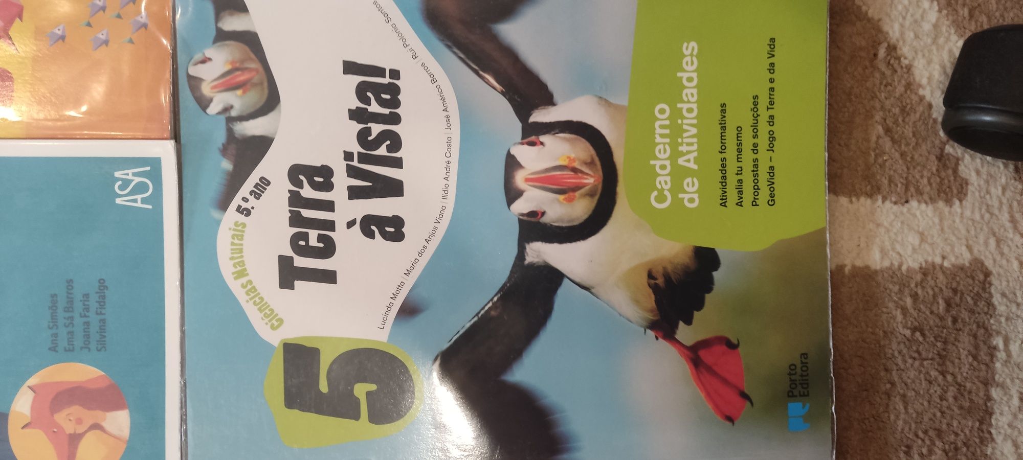 Cadernos fichad 5 ano NOVOS e encadernados