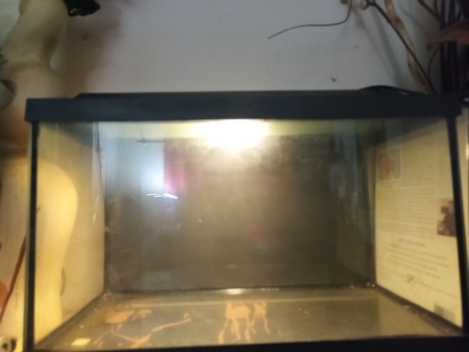 Aquário 40 centímetros com luz