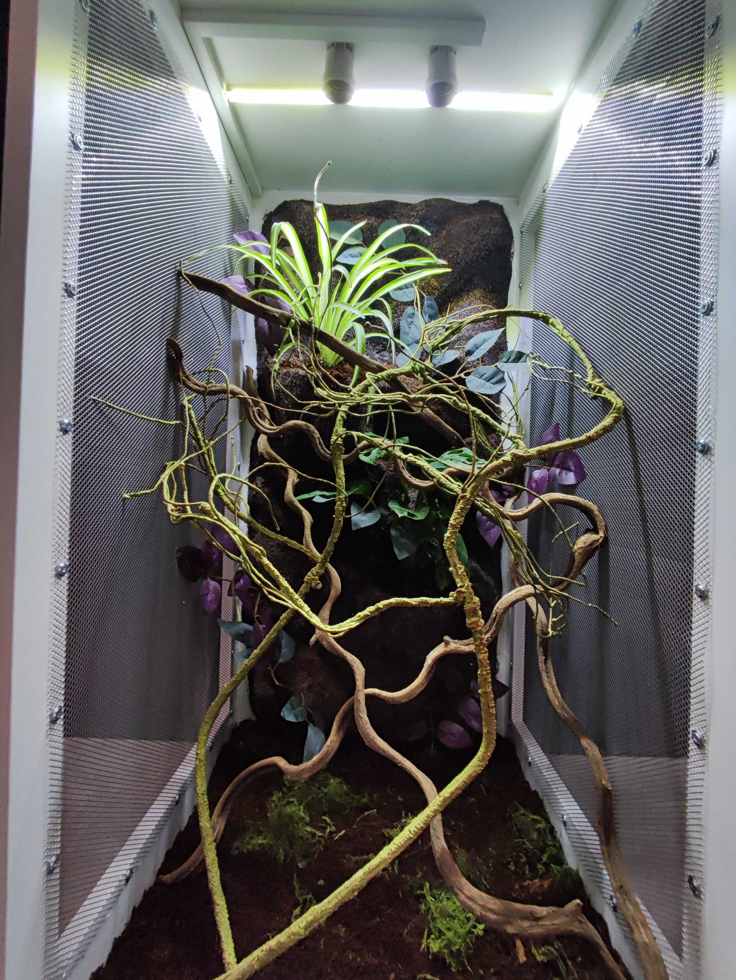 Terrarium tropikalne nr696 50/50/100 dla kameleona 50/50/100 DOSTĘPNE