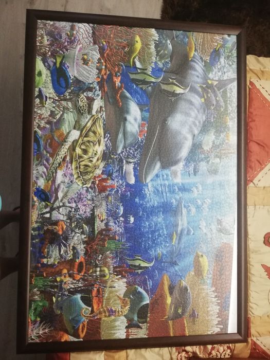 Quadro Puzzle 5000pcs