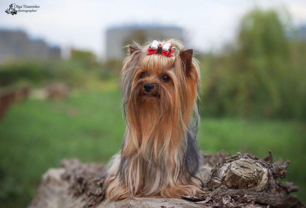 КСУ Кабель для вязки